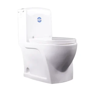 Toilet One Piece S Trap