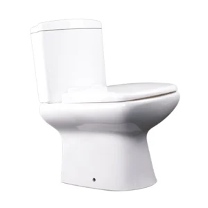 Toilet Two Piece P Trap