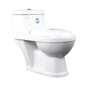Toilet Set One Piece P Trap
