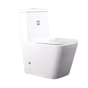 Toilet One Piece S Trap