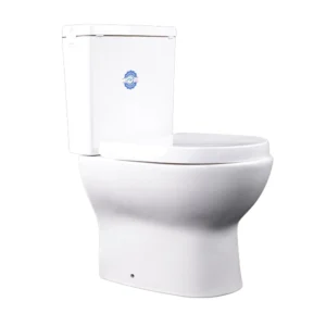 Toilet Two Piece P Trap