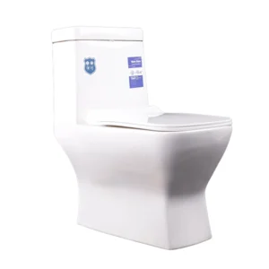 Toilet Two Piece Free Trap