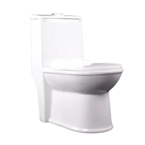 Toilet One Piece S Trap