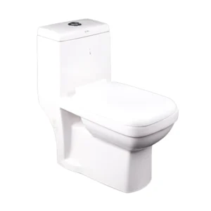 Toilet One Piece P Trap Ref- Square