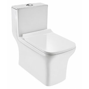 Toilet One-Piece P-trap Washdown Ref-SCOP
