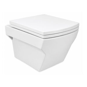 Wall Hung Toilet Ref-Voot